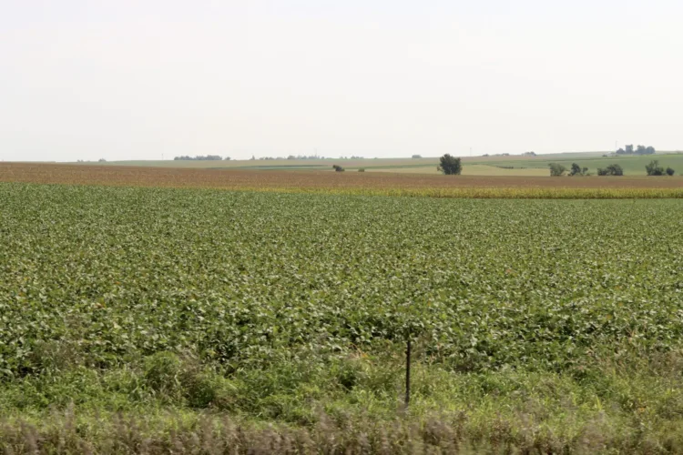 Start of September was ‘one of the warmest’ on record as harvest nears